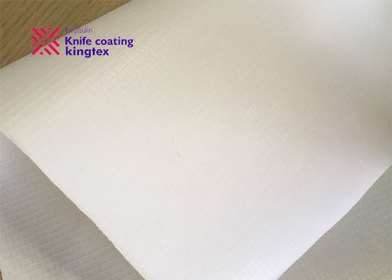 0.25mm 6oz lingtht weight POE coated eco-friendly biodegradable TPO tarpaulin